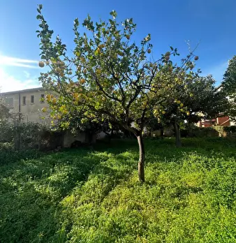 Foto annuncio 4