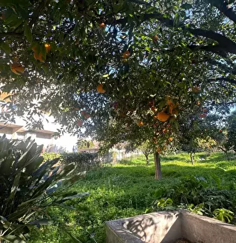 Foto annuncio 2