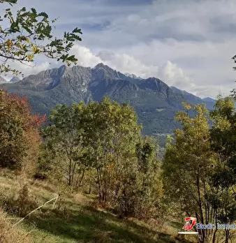 Foto annuncio 5