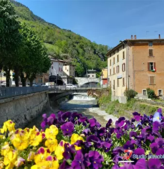 Foto annuncio 3