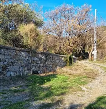 Foto annuncio 9