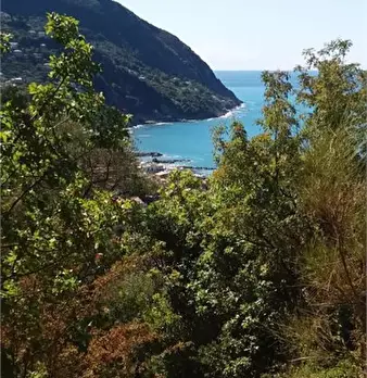Foto annuncio 10