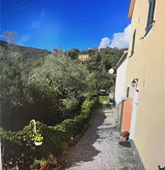 Foto annuncio 7