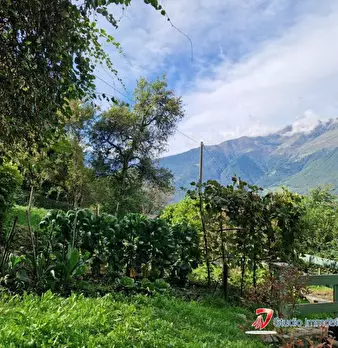Foto annuncio 9