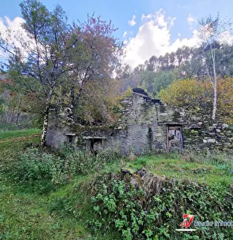 Foto annuncio 3