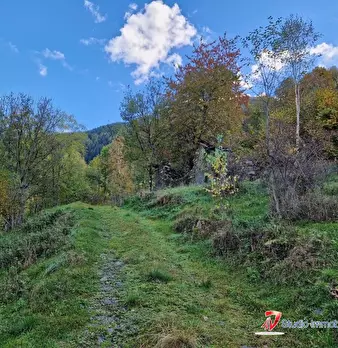 Foto annuncio 9