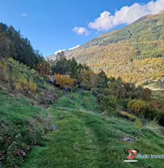 Foto annuncio 10
