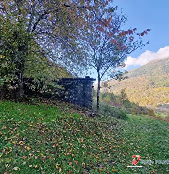 Foto annuncio 5