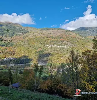 Foto annuncio 7
