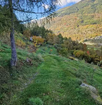 Foto annuncio 8