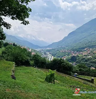 Foto annuncio 5