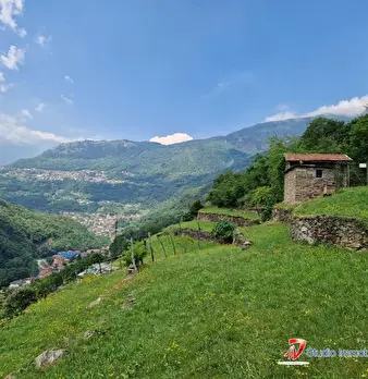 Foto annuncio 6