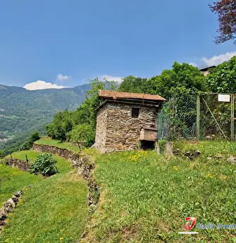 Foto annuncio 2