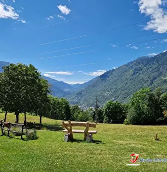 Foto annuncio 8