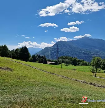 Foto annuncio 10