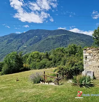 Foto annuncio 5