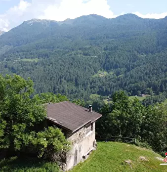 Foto annuncio 7