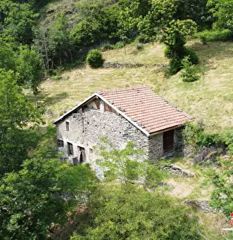 Foto annuncio 1