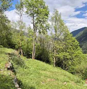 Foto annuncio 4