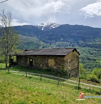 Foto annuncio 1