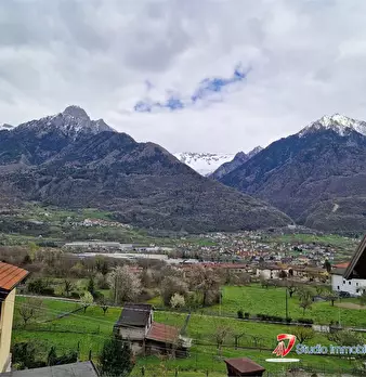 Foto annuncio 10