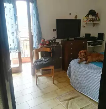 Foto annuncio 6