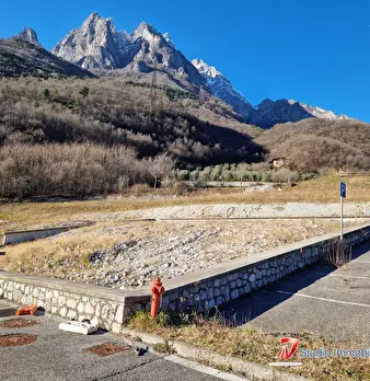 Foto annuncio 1