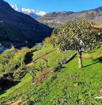 Foto annuncio 1