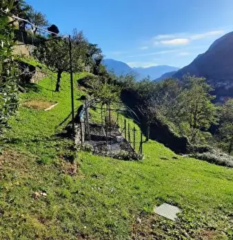 Foto annuncio 3