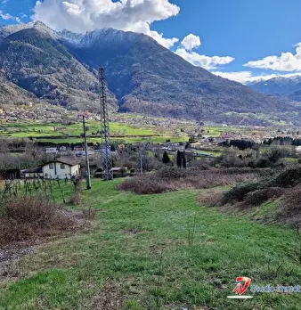 Foto annuncio 1