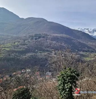 Foto annuncio 4