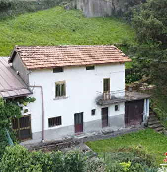 Foto annuncio 7