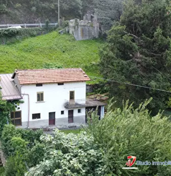 Foto annuncio 8