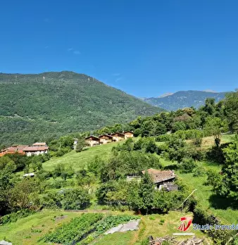 Foto annuncio 10