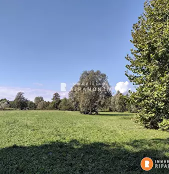 Foto annuncio 5