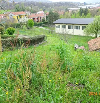Foto annuncio 4