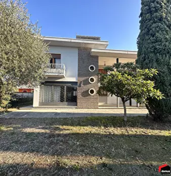 Foto annuncio 2