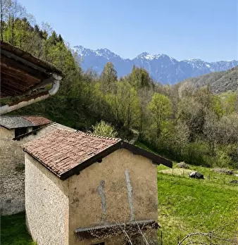 Foto annuncio 6