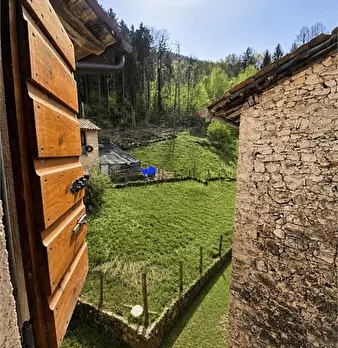 Foto annuncio 7