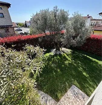Foto annuncio 3
