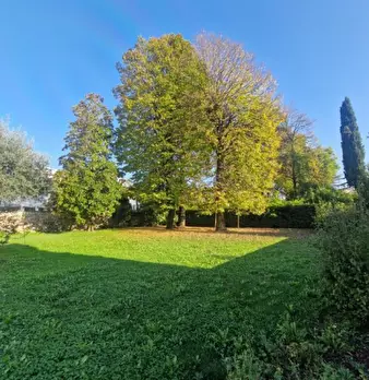 Foto annuncio 4