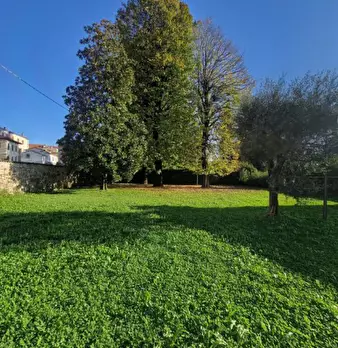 Foto annuncio 6