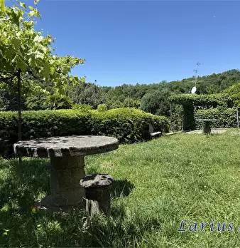 Foto annuncio 9