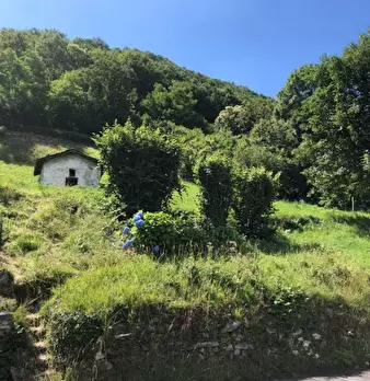 Foto annuncio 2