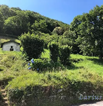 Foto annuncio 1