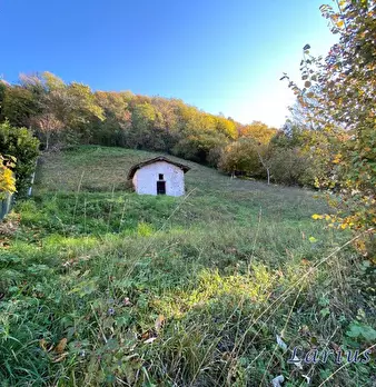 Foto annuncio 6