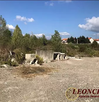 Foto annuncio 8