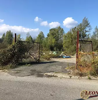 Foto annuncio 9