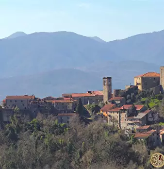 Foto annuncio 1