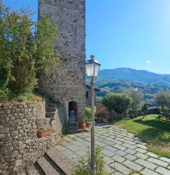 Foto annuncio 6